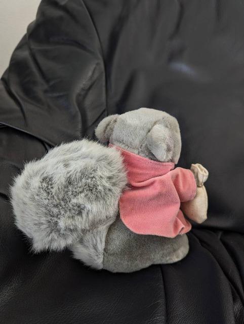 PETER RABBITs[^[rbgeB~[/肷/X/ʂ݁uh eden/Gf   