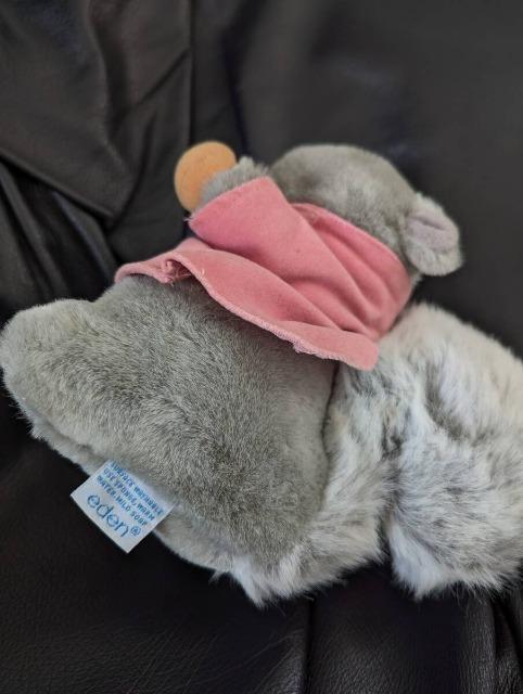 PETER RABBITs[^[rbgeB~[/肷/X/ʂ݁uh eden/Gf   