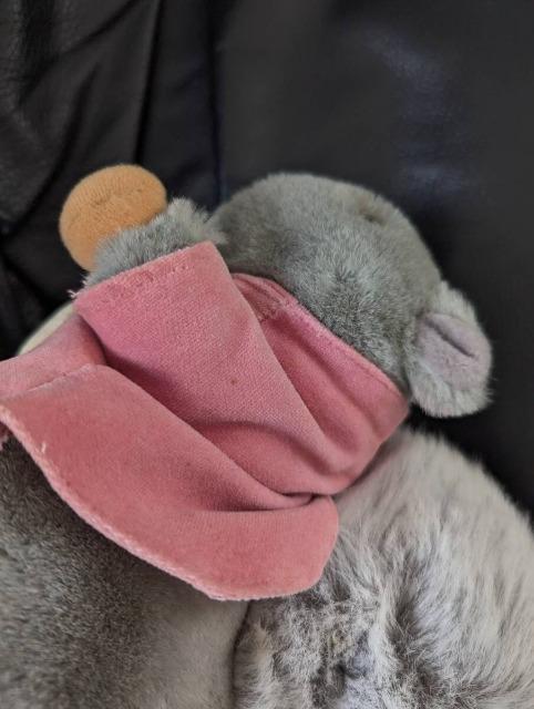 PETER RABBITs[^[rbgeB~[/肷/X/ʂ݁uh eden/Gf   