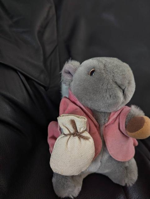 PETER RABBITs[^[rbgeB~[/肷/X/ʂ݁uh eden/Gf   