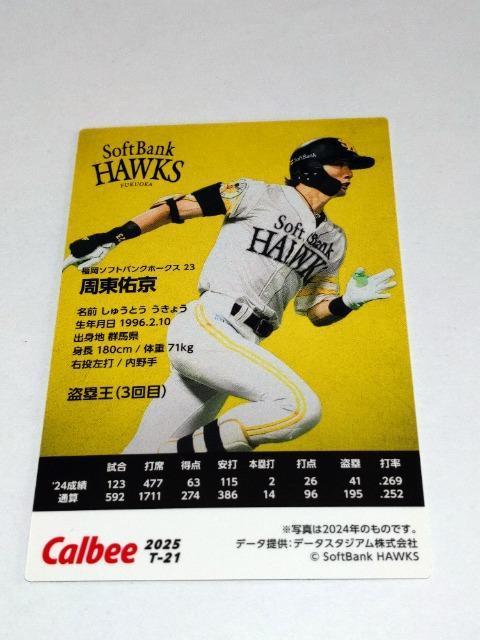 Jr[v싅`bvX2025 T-21 \tgoNz[NX 23 CI  g[fBOJ[h 