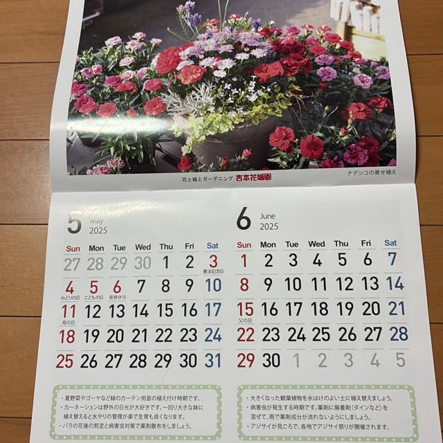 J_[k2025NT`2026NU܂Łl  zr[ 