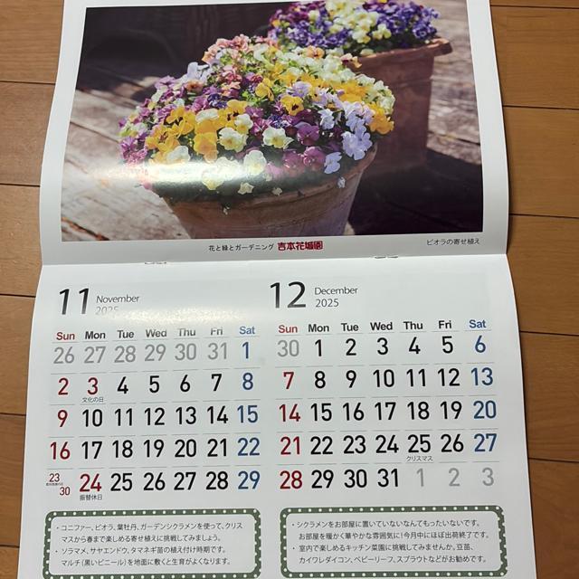 J_[k2025NT`2026NU܂Łl  zr[ 