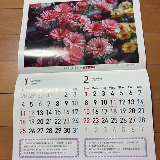 J_[k2025NT`2026NU܂Łl  zr[ 