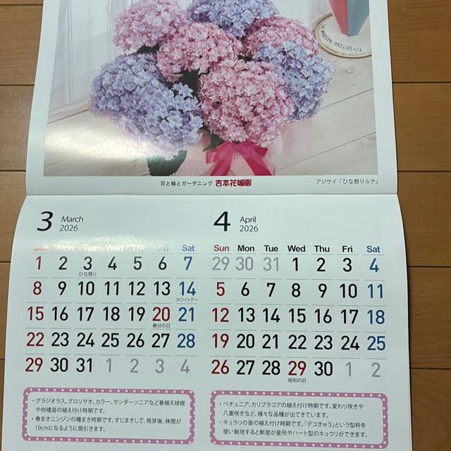 J_[k2025NT`2026NU܂Łl  zr[ 