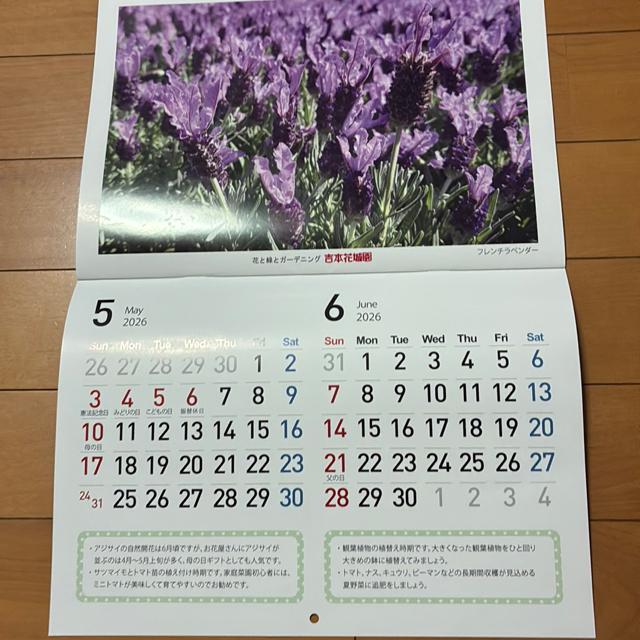 J_[k2025NT`2026NU܂Łl  zr[ 