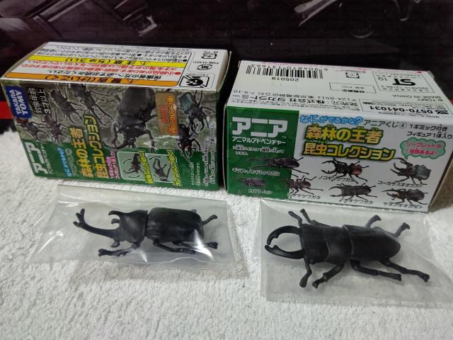 アニアくじ4 オオクワガタ カブトムシ 未開封 < ホビー アニアくじ4 オオクワガタ カブトムシ 未開封 < ホビーの