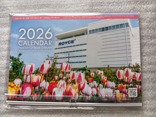  CY@ ROYCEf@ J_[2026&2023yуCYIWiL[z_[̃Zbg@  zr[ 