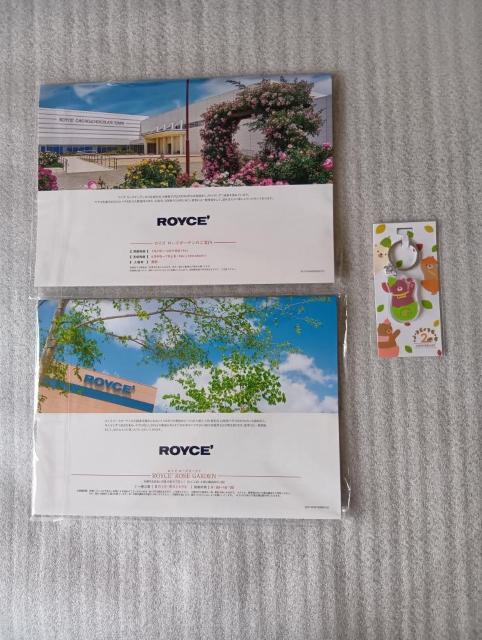  CY@ ROYCEf@ J_[2026&2023yуCYIWiL[z_[̃Zbg@  zr[ 