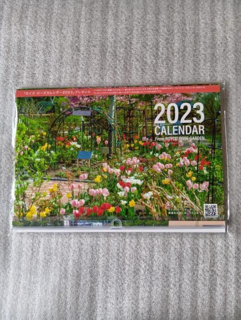  CY@ ROYCEf@ J_[2026&2023yуCYIWiL[z_[̃Zbg@  zr[ 