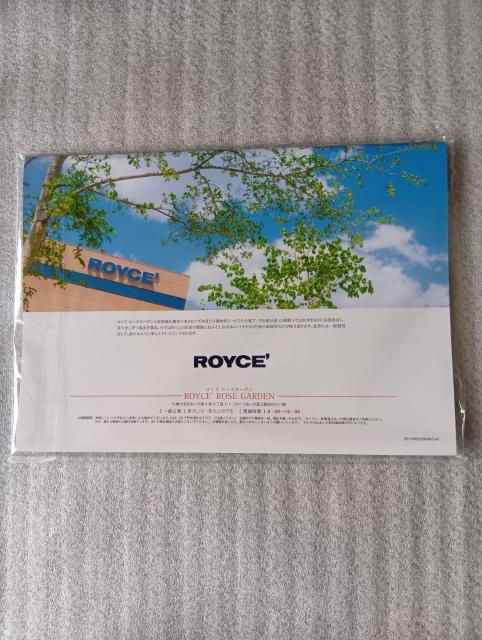  CY@ ROYCEf@ J_[2026&2023yуCYIWiL[z_[̃Zbg@  zr[ 