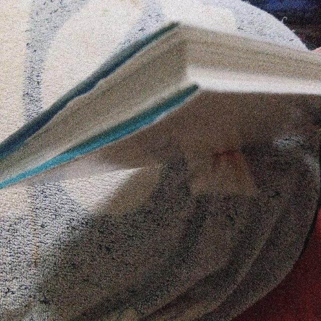 スズメの謎:身近な野鳥が減っている!? < 本/雑誌 スズメの謎:身近な野鳥が減っている!? < 本/雑誌の