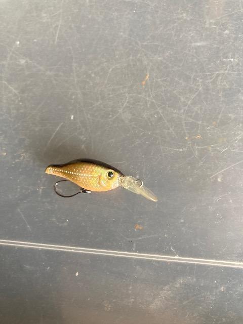 マイクロクランク < レジャー/スポーツ マイクロクランク < レジャー/スポーツの