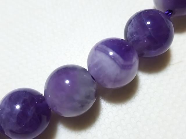 �V�R�΁��V�F�u�����A���W�X�g�@���E���h�W�����@���A �� �����A�N�Z�T���[/���v�� 