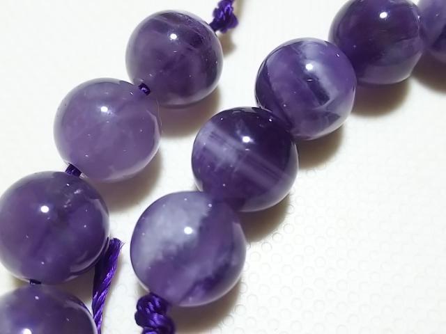 �V�R�΁��V�F�u�����A���W�X�g�@���E���h�W�����@���A �� �����A�N�Z�T���[/���v�� 