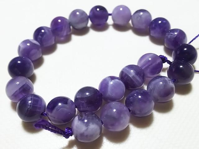 �V�R�΁��V�F�u�����A���W�X�g�@���E���h�W�����@���A �� �����A�N�Z�T���[/���v�� 