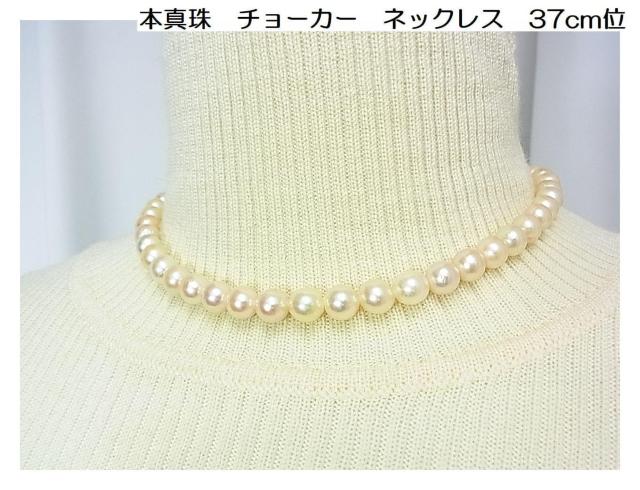 500円スタ【本真珠】アコヤ真珠 チョーカー ネックレス 7.3-7.6mm珠 37cm (1) < 女性アクセサリー/時計 500円スタ【本真珠】アコヤ真珠 チョーカー ネックレス 7.3-7.6mm珠 37cm (1) < 女性アクセサリー/時計の