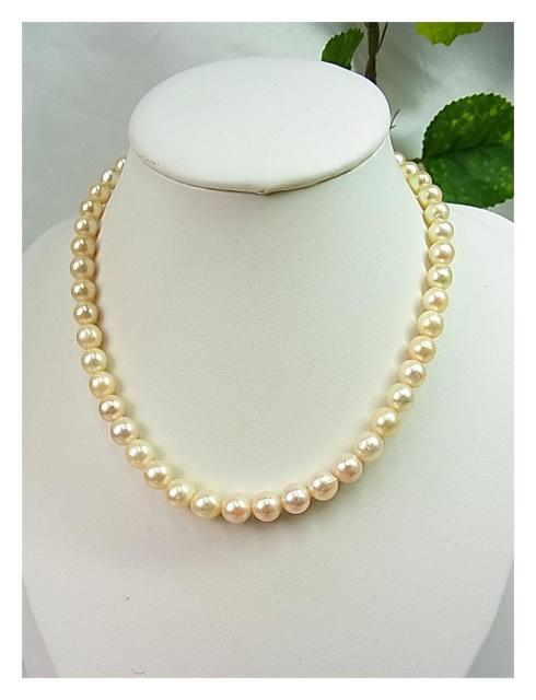 500円スタ【本真珠】アコヤ真珠 チョーカー ネックレス 7.3-7.6mm珠 37cm (1) < 女性アクセサリー/時計 500円スタ【本真珠】アコヤ真珠 チョーカー ネックレス 7.3-7.6mm珠 37cm (1) < 女性アクセサリー/時計の