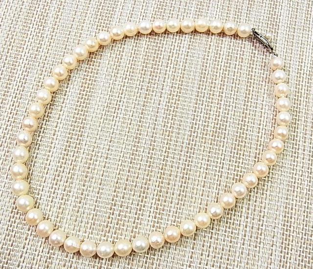 500円スタ【本真珠】アコヤ真珠 チョーカー ネックレス 7.3-7.6mm珠 37cm (1) < 女性アクセサリー/時計 500円スタ【本真珠】アコヤ真珠 チョーカー ネックレス 7.3-7.6mm珠 37cm (1) < 女性アクセサリー/時計の