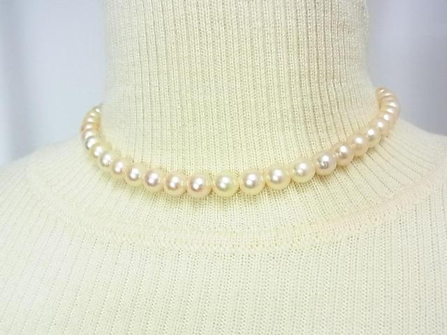 500円スタ【本真珠】アコヤ真珠 チョーカー ネックレス 7.3-7.6mm珠 37cm (1) < 女性アクセサリー/時計 500円スタ【本真珠】アコヤ真珠 チョーカー ネックレス 7.3-7.6mm珠 37cm (1) < 女性アクセサリー/時計の