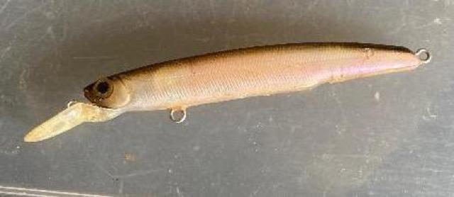 ミノー ダイビングモデル < レジャー/スポーツ ミノー ダイビングモデル < レジャー/スポーツの