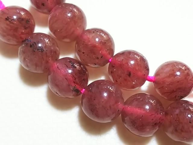 �V�R�΁����X�R�o�C�g�@���E���h�W�����@���A �� �����A�N�Z�T���[/���v�� 