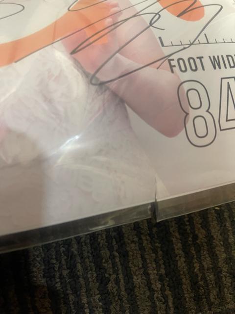 �|�X�^�[ sizebook �T�؍�46 �T�C�� ���Ζ���,���쎵��,���{�ށX��  �^�Ă̑S���c�A�[ ���M�T�C���������F�� �q������ �� �^�����g�O�b�Y�� 