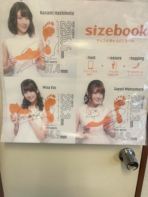 �|�X�^�[ sizebook �T�؍�46 �T�C�� ���Ζ���,���쎵��,���{�ށX��  �^�Ă̑S���c�A�[ ���M�T�C���������F�� �q������ �� �^�����g�O�b�Y�� 