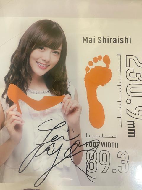 �|�X�^�[ sizebook �T�؍�46 �T�C�� ���Ζ���,���쎵��,���{�ށX��  �^�Ă̑S���c�A�[ ���M�T�C���������F�� �q������ �� �^�����g�O�b�Y�� 