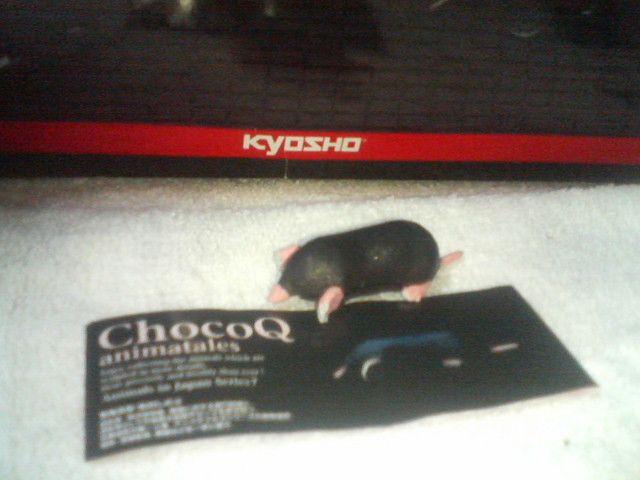 �`���RQ   �A�j�}���e�C���Y7   �~�Y�����O��     �� �z�r�[�� 