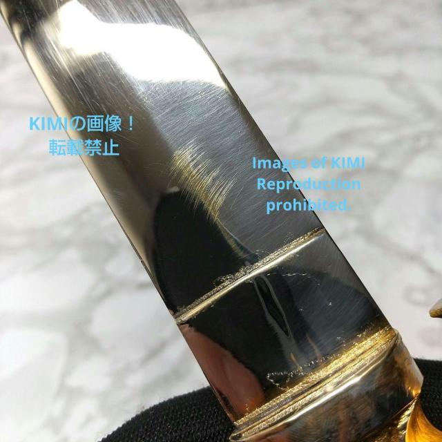  O، s 䗘  䗘̌ S40.2cm ^J p ґz Cŝ n͂ĂȂ̂  CeA/Ct 