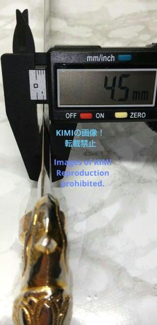  O، s 䗘  䗘̌ S40.2cm ^J p ґz Cŝ n͂ĂȂ̂  CeA/Ct 