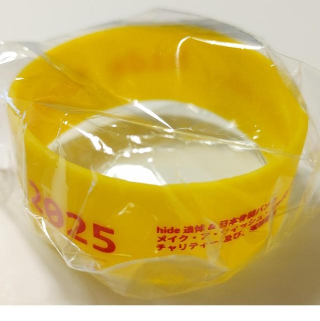 񔄕i Vi hide tribute 2025 o[oh oo gr[g qf Ǔ CG[ x japan  ^gObY 