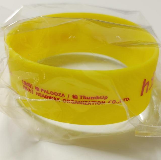 񔄕i Vi hide tribute 2025 o[oh oo gr[g qf Ǔ CG[ x japan  ^gObY 