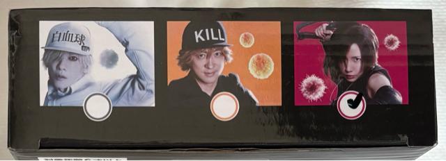 ͂炭זE LEDCgt ANX^h NKזE  CeA/Ct 