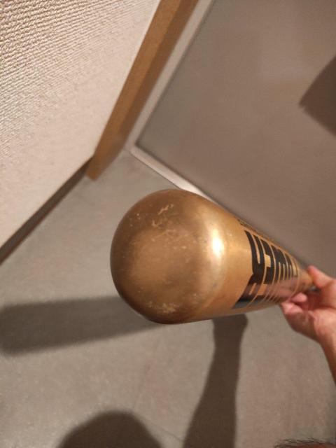 NIWA LITALLOY リタロイ ZETT POWER 硬式 野球 高校野球 金属 バット < レジャー/スポーツ  NIWA LITALLOY リタロイ ZETT POWER 硬式 野球 高校野球 金属 バット < レジャー/スポーツの
