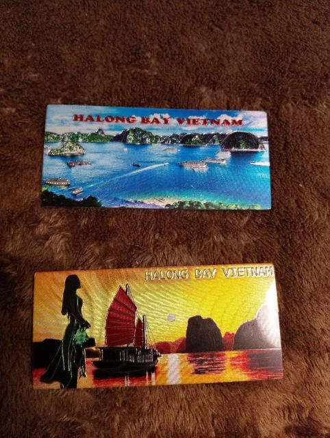 �V�i���l���x�g�i���@�n�����p�@�}�O�l�b�g4���Z�b�g �� �C���e���A/���C�t�� 