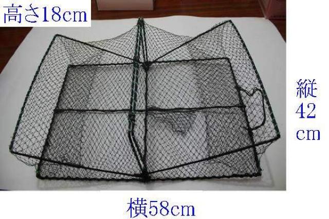  Gr Jj  ߂ 58 c42c   W[/X|[c 