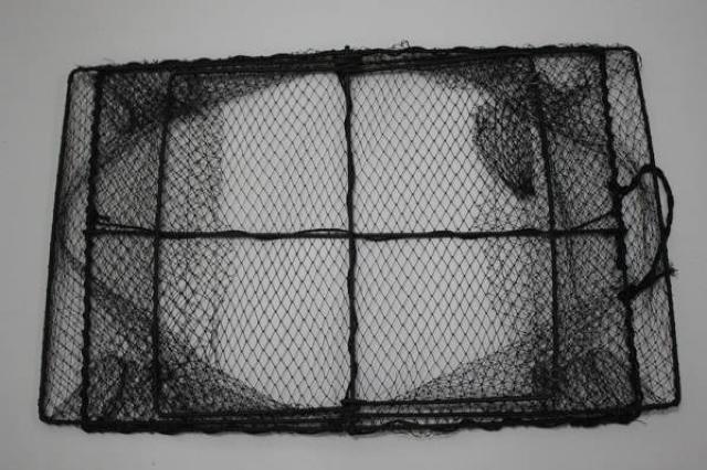  Gr Jj  ߂ 58 c42c  W[/X|[c 