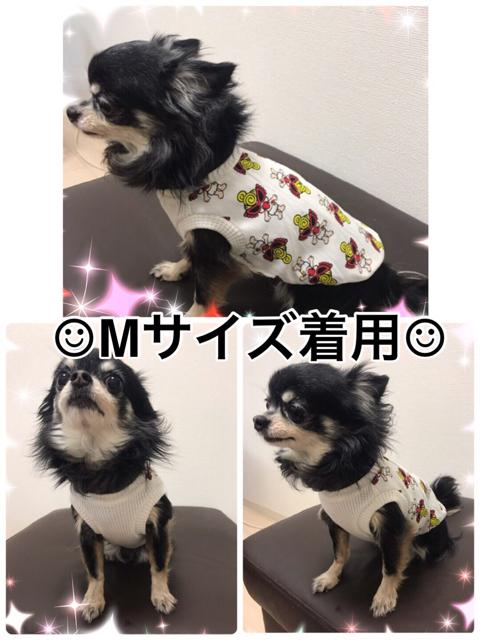 ★ハンドメイド ヒスミニ シャツ バラ柄 白 犬服 M★ < ペット/手芸/園芸  ★ハンドメイド ヒスミニ シャツ バラ柄 白 犬服 M★ < ペット/手芸/園芸の