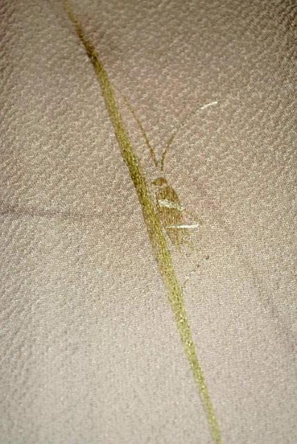 yōzVil ƕ 򂵐 VVE ԕ  t g164.5 65 T3542  t@bV 