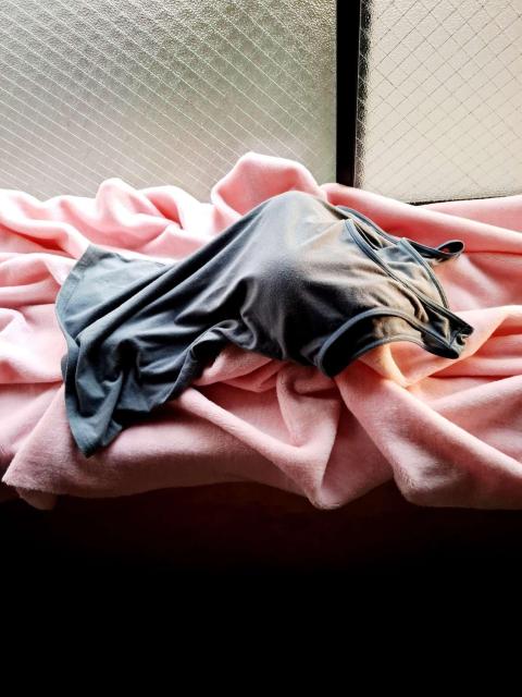 �ȍ��₳�����_�炩�����S�n��J�b�v�t���L�k�X�g���b�`���߃^���N�g�b�v��UV�z�������������݃O���[��*�A�b�V���O���[�� �� �����t�@�b�V������ 