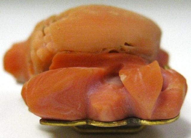 和装 帯留 帯止め サンゴ 珊瑚 約43mm×29mm×15mm 20.1g和服 < 女性ファッション 和装 帯留 帯止め サンゴ 珊瑚 約43mm×29mm×15mm 20.1g和服 < 女性ファッションの