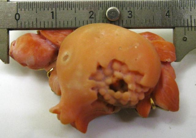 和装 帯留 帯止め サンゴ 珊瑚 約43mm×29mm×15mm 20.1g和服 < 女性ファッション 和装 帯留 帯止め サンゴ 珊瑚 約43mm×29mm×15mm 20.1g和服 < 女性ファッションの