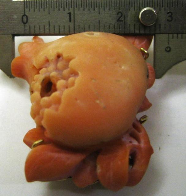 和装 帯留 帯止め サンゴ 珊瑚 約43mm×29mm×15mm 20.1g和服 < 女性ファッション 和装 帯留 帯止め サンゴ 珊瑚 約43mm×29mm×15mm 20.1g和服 < 女性ファッションの