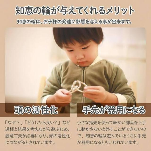 sNewtCHALLENGE METAL PUZZLES/mb̗ցW͂Eg[jOȆ̑ɃIXX<W>  zr[ 