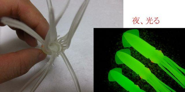 Vi@A[Zbg @@@CJ@ 10g   4  W[/X|[c 