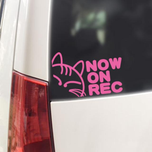 NOW ON REC ネコ/ステッカー(ライトピンク)ドライブレコーダー < 自動車/バイク NOW ON REC ネコ/ステッカー(ライトピンク)ドライブレコーダー < 自動車/バイク