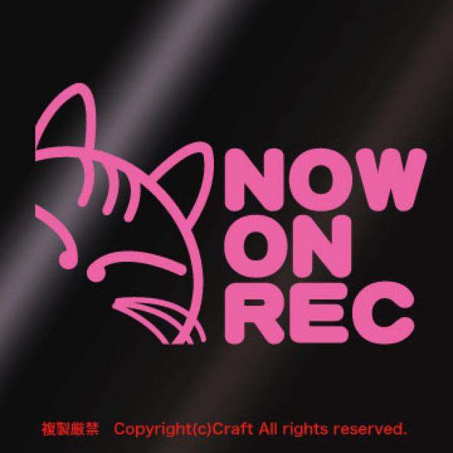 NOW ON REC ネコ/ステッカー(ライトピンク)ドライブレコーダー < 自動車/バイク NOW ON REC ネコ/ステッカー(ライトピンク)ドライブレコーダー < 自動車/バイク