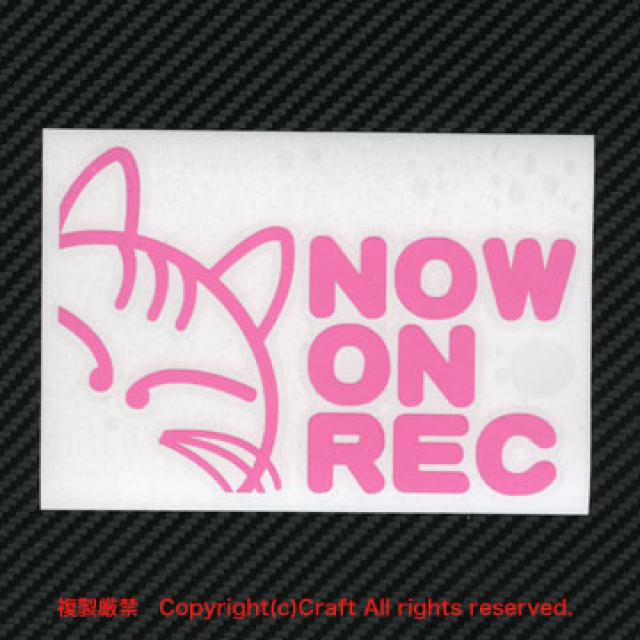 NOW ON REC ネコ/ステッカー(ライトピンク)ドライブレコーダー < 自動車/バイク NOW ON REC ネコ/ステッカー(ライトピンク)ドライブレコーダー < 自動車/バイク